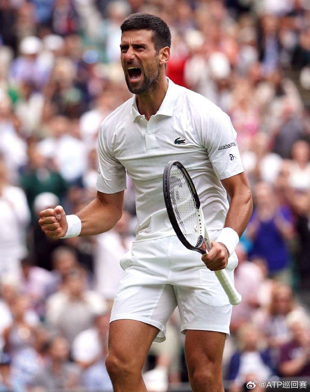 了公众对体 了公众对体