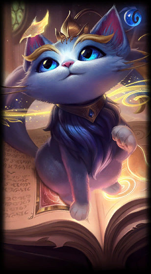 在转会市场 在转会市场