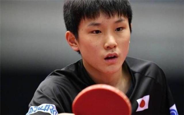 持续发展的 持续发展的