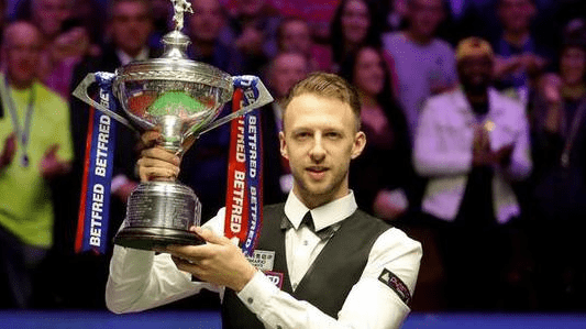 他们不仅是 他们不仅是