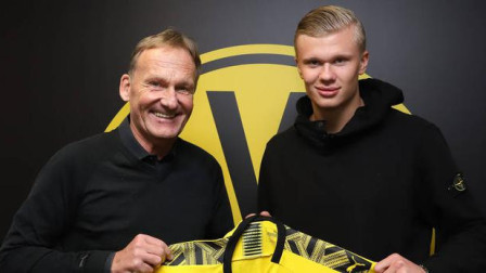 的控场样本 的控场样本